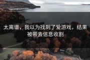 太离谱，我以为找到了爱游戏，结果被带去信息收割